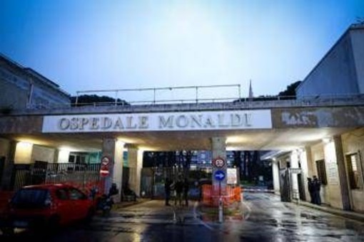 Domenico morto al Monaldi, Regione Campania dispone ispezione straordinaria. Stop a trapianti pediatrici Domenico morto al Monaldi, Regione Campania dispone ispezione straordinaria. Stop a trapianti pediatrici