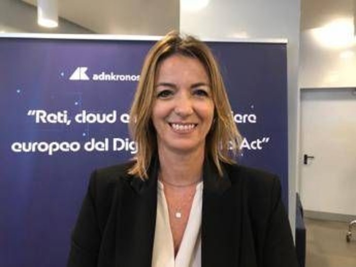 Digitale, Pizzi (Anitec-Assinform): &quot;Dna semplifichi norme e non le appesantisca&quot;