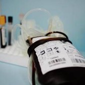 Emergenza sangue in Italia, chi può donarlo e ogni quanto