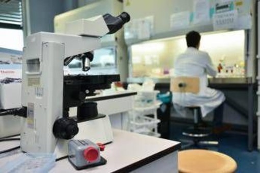 Ricerca, in Italia nel 2024 autorizzati 669 studi clinici: "Serve nuovo modello per ridefinire valore dati sanitari" Ricerca, in Italia nel 2024 autorizzati 669 studi clinici: "Serve nuovo modello per ridefinire valore dati sanitari"