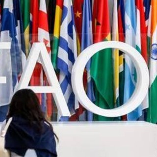 Fao, Tajani: "Italia candida Maurizio Martina alla guida"