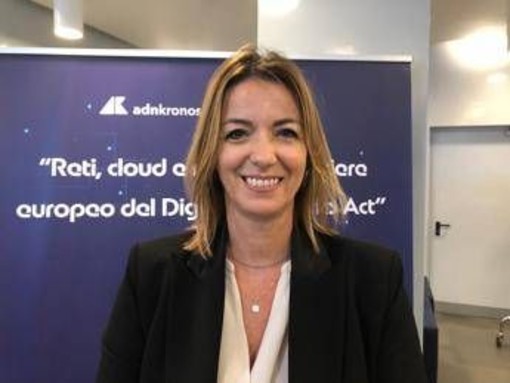 Digitale, Pizzi (Anitec-Assinform): &quot;Dna semplifichi norme e non le appesantisca&quot;