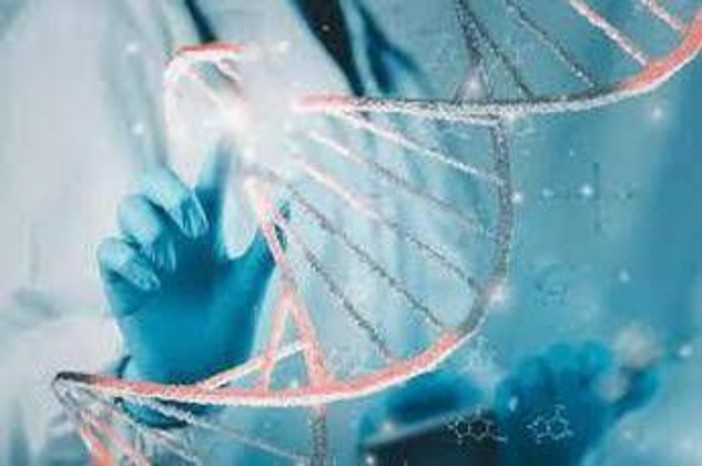 Malattie rare, dal Lazio un modello per continuità cure dall'età pediatrica all'età adulta Malattie rare, dal Lazio un modello per continuità cure dall'età pediatrica all'età adulta