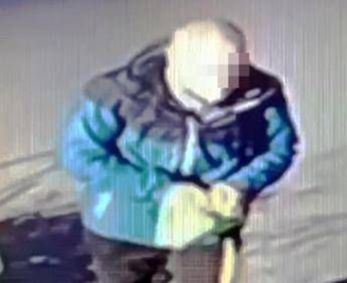 Donna accoltellata in Gae Aulenti: chi è Vincenzo Lanni, recidivo che colpisce a caso Donna accoltellata in Gae Aulenti: chi è Vincenzo Lanni, recidivo che colpisce a caso