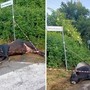 Violento incidente sulla via dei Laghi, auto finisce contro un toro. Il sindaco di Nemi: "Sfiorata la tragedia" Violento incidente sulla via dei Laghi, auto finisce contro un toro. Il sindaco di Nemi: "Sfiorata la tragedia"
