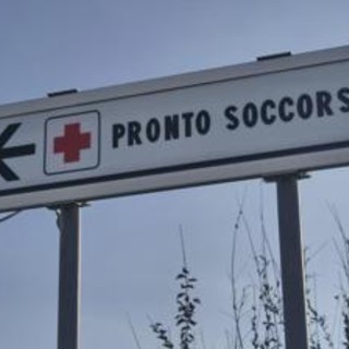 Due bambine azzannate da un cane randagio a Bari: una è in rianimazione