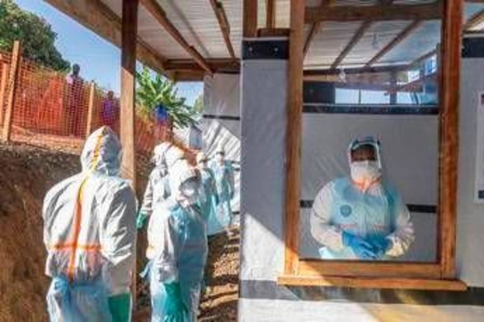 Ebola, Lopalco: "Bene che scatti allarme, con sorveglianza da noi rischio resta basso"