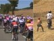 Pazzo Tour de France, tra le bici spunta un tifoso con... gli sci