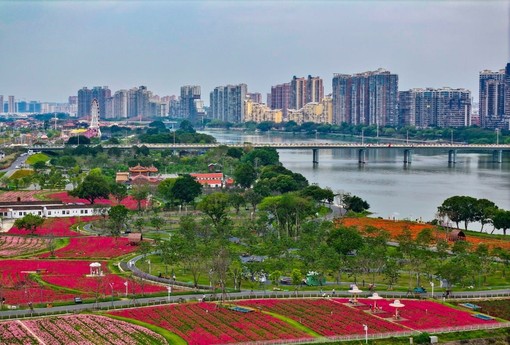 Cina, cambiano la domanda e l’offerta nel mercato immobiliare Cina, cambiano la domanda e l’offerta nel mercato immobiliare