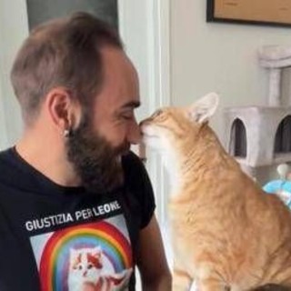 Come accarezzare i gatti, ecco la 'ricetta' infallibile per farsi amare