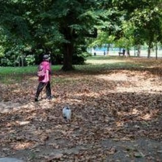 Meteo ottobre, l’Ottobrata conquista l’Italia: sole e temperature fino a 29°C Meteo ottobre, l’Ottobrata conquista l’Italia: sole e temperature fino a 29°C