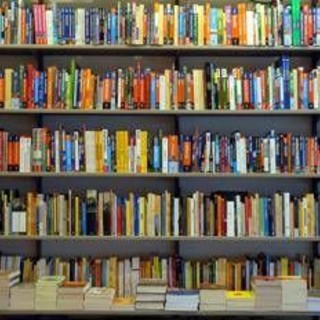 Da Francesca Albanese a Salvo Toscano, le novità in libreria