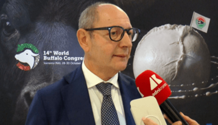 Raimondo (Tutela mozzarella bufala campana Dop): "Filiera 1,2-1,3 mld, quasi una Fiat" Raimondo (Tutela mozzarella bufala campana Dop): "Filiera 1,2-1,3 mld, quasi una Fiat"
