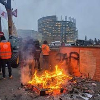 Ue-Mercosur, il Parlamento Europeo rimanda l'accordo alla Corte di Giustizia