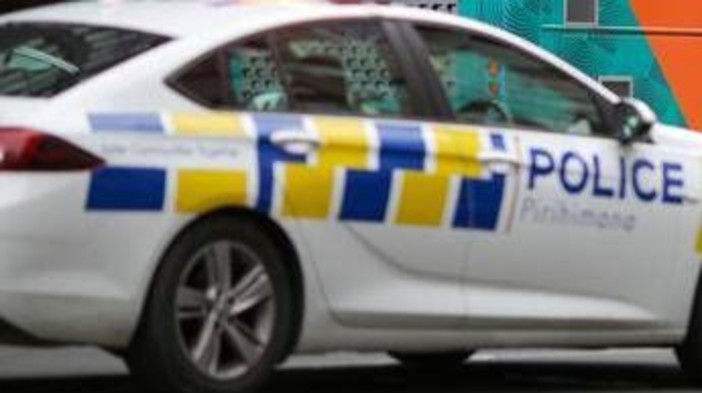 Uovo Fabergé di James Bond inghiottito da un ladro recuperato in Nuova Zelanda Uovo Fabergé di James Bond inghiottito da un ladro recuperato in Nuova Zelanda