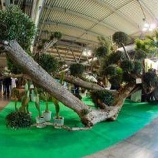 Myplant&amp;Garden, X edizione dal 18 al 20 febbraio 2026 a Fiera Milano Rho
