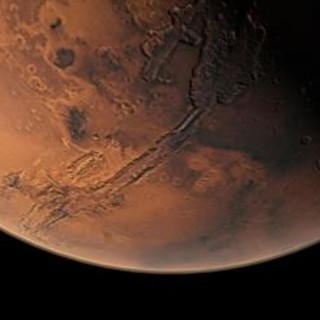 Tutti i segreti nella dieta degli astronauti, un'alga dalla Sardegna per conquistare Marte Tutti i segreti nella dieta degli astronauti, un'alga dalla Sardegna per conquistare Marte