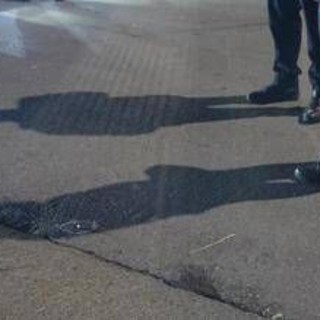 Omicidio a Palermo, il testimone: &quot;Paolo stava lavorando e ha visto il branco. Poi l'inferno&quot;