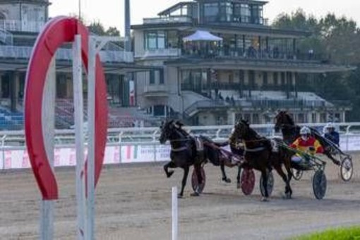 Ippica, Stoppini (Snai): &quot;L''Orsi Mangelli' torna a Milano, a San Siro il grande trotto&quot;