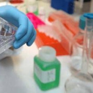 Giornata tumore seno metastatico, in Italia oltre 55mila donne con la malattia Giornata tumore seno metastatico, in Italia oltre 55mila donne con la malattia