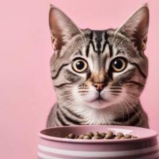 Animali domestici, è boom 'caro vita': 149 euro aumento costo medio ad animale Animali domestici, è boom 'caro vita': 149 euro aumento costo medio ad animale