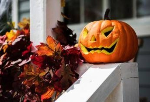 Zucca e semi di zucca: il lato sorprendente (e sano) di Halloween