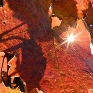 Sole e caldo ma solo per 48 ore, poi arriva il ciclone di Halloween: ecco il meteo che ci aspetta