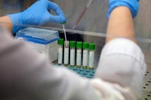 Mers, 9 casi con due morti in Arabia Saudita. Oms: &quot;Rischio moderato&quot;