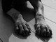 Messina, cane trovato morto in una valigia
